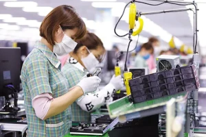 Doanh nghiệp tự nâng thuế từ 5% lên 10% để ‘an toàn’: Cục Hải quan nói gì?