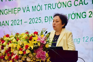 PGS.TS Phạm Khánh Phong Lan: Không thể đòi hỏi ngủ dậy 1 đêm mà giải quyết được tất cả thực phẩm bẩn