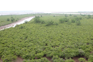 Ninh Bình chính thức có vườn di sản ASEAN đầu tiên khu vực miền Bắc