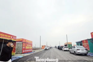 Đấu giá đất vùng quê: Chưa lên sàn 'cò đất' đổ về gây náo loạn