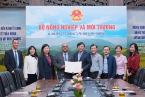 Một ngân hàng lớn hỗ trợ 2 triệu USD khi Việt Nam trải qua một trong những năm thiên tai khốc liệt và thiệt hại nặng nề nhất lịch sử