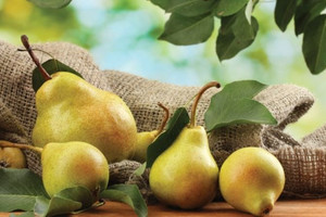 Loại quả được mệnh danh là ‘vua của trăm loại quả’, ở Việt Nam có giá chỉ từ 20.000 đồng/kg