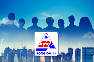 SJE chuẩn bị họp ĐHCĐ bất thường: Những tín hiệu cho một bước ngoặt?