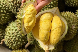 Thu gần 3,34 tỷ USD sau 10 tháng, 'vua trái cây' Việt Nam thành ngôi sao, càn quét thị trường Trung Quốc