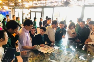 Môi giới BĐS lo 'chốt deal' kiếm tiền, khiến thị trường méo mó