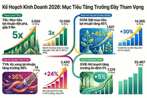 Nhiều doanh nghiệp hé lộ KQKD năm 2025 và rầm rộ lên kế hoạch 2026, mục tiêu tăng trưởng 'bằng lần’ xuất hiện