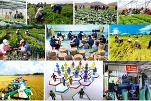 Phát triển kinh tế tập thể, hợp tác xã theo mô hình xanh, số, tuần hoàn