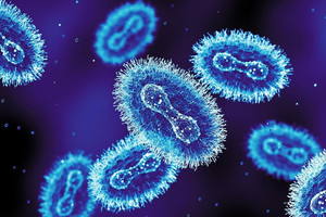 Phát hiện chủng đậu mùa khỉ mới tại Anh, chuyên gia cảnh báo ‘điều lo ngại đã xảy ra’