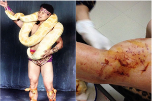 NSND duy nhất được mệnh danh là 'vua xiếc Việt': Nổi danh khắp thế giới, 4 lần suýt mất mạng vì 'bạn diễn'