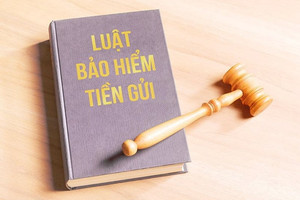 Luật Bảo hiểm tiền gửi sửa đổi bổ sung quy định chi trả sớm và vay đặc biệt 0%