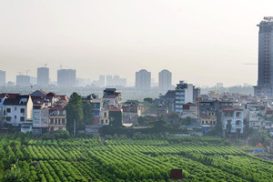 Từ giờ tại Hà Nội, tự ý chuyển đất trồng lúa sang loại đất khác sẽ phải đối diện hậu quả