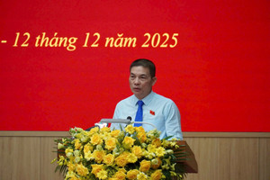 Tập đoàn Sơn Hải kiến nghị về dự án 2.200 tỷ chậm giao đất, doanh nghiệp đội thêm 268 tỷ tiền thuế