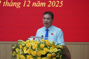 Chủ tịch Tập đoàn Sơn Hải kiến nghị tháo gỡ vướng mắc tại nhiều dự án bất động sản ở Quảng Trị