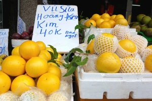 Từng 'đắt như vàng', nay vú sữa hoàng kim bán rẻ hơn cho: Người mua chê nhạt, giá rơi tự do, nhà vườn chỉ đủ hòa vốn