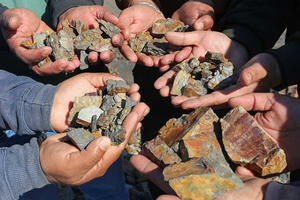 Phát hiện kho vàng lớn chưa từng thấy giữa rừng sâu, chính quyền đau đầu vì không thể khai thác