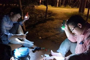 Người bắt muỗi tại thành phố này của Việt Nam sẽ được hỗ trợ 130.000 đồng/đêm