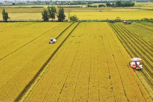 Từ 1/1/2026, khi chuyển đổi đất nông nghiệp sang đất ở, người dân sẽ đóng tiền ra sao?