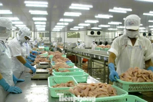 Điểm nghẽn cản trở doanh nghiệp tư nhân