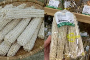 Người Hàn Quốc dùng lõi ngô làm gì mà có mức giá tới cả trăm nghìn/kg