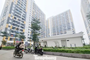 Bắc Ninh, Hải Phòng phát hiện hàng loạt sai phạm mua bán nhà ở xã hội