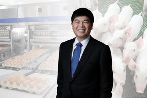 IPO Nông nghiệp Hòa Phát dưới góc nhìn CTCK: Mua ở giá chào bán, NĐT có thể hưởng lợi trên 20%