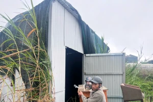 Lâm Đồng cưỡng chế phá dỡ 6 công trình xây dựng trái phép trên đất nông nghiệp