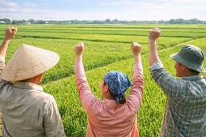 Bộ Tài chính đề xuất nghiên cứu giảm tiền sử dụng đất đối với đất vườn do gia đình để lại