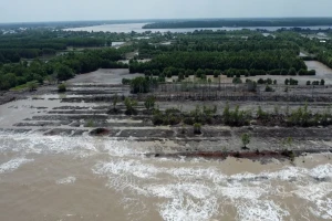 Mỗi năm mất hơn 50m đất ven biển Cà Mau