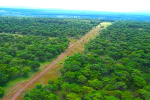 Chấp thuận chủ trương đầu tư sân golf nghìn tỷ ở Gia Lai