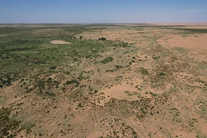 Trung Quốc đối mặt hạn hán vì... trồng 78 tỷ cây xanh?