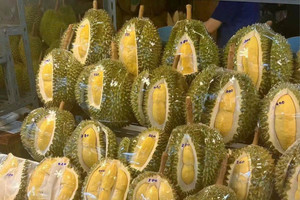 Quốc gia thứ 6 gia nhập 'cuộc đua trái cây tỷ USD', lợi thế sát biên giới có thể làm giá khu vực biến động: Việt Nam cần 'dè chừng'