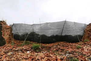 Huế chi 2,2 tỷ đồng xử lý khẩn cấp đoạn tường Hoàng thành bị sập