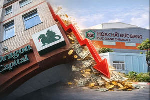 Rời ghế cổ đông lớn Hóa chất Đức Giang (DGC), Dragon Capital đang mang tiền đầu tư đi đâu?