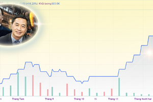 VinMetal xuất hiện, cổ phiếu Pomina tiếp tục đắt hàng