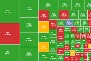 VHM tăng cận trần, VN-Index áp sát trở lại mốc 1.700