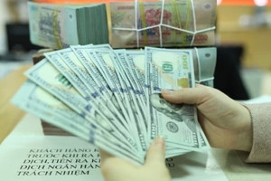 Giá USD hạ nhiệt, thị trường tự do giảm hơn 100 đồng