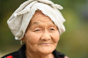 Động vật bị thiến có thể sống lâu hơn tới 20%, điều này với con người liệu có đúng?