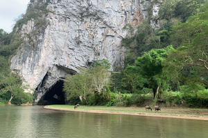 Rừng già chuyển lá, nhuộm sắc bên hồ nước ngọt ‘đẹp nhất thế giới’ của Việt Nam