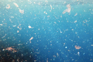 Nhật Bản phát triển loại nhựa có thể phân hủy hoàn toàn trong nước biển, không để lại vi nhựa