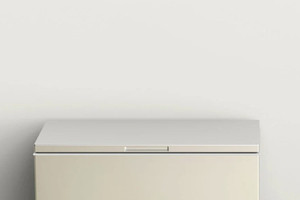 Hé lộ lời khai của người mẹ giấu thi thể con gái trong tủ đông suốt 20 năm