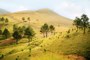 Cách Hà Nội khoảng hơn 200km, có 5 cung đường trekking ‘thách thức’ dân phượt, một nơi được mệnh danh là nóc nhà của Quảng Ninh