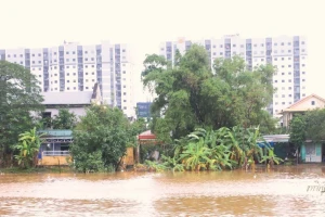 Mưa vượt kỷ lục và chuỗi thiên tai dị thường dồn dập, hiếm gặp tại Huế