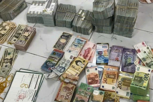 Truy tố nữ công nhân Lê Thị Thắm vì lập 53 công ty 'ma', rửa tiền hàng triệu USD