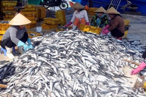 Kiếm tỷ USD từ xuất khẩu, 'mỏ vàng dưới nước' của Việt Nam bán giá bao nhiêu tại chợ, siêu thị?