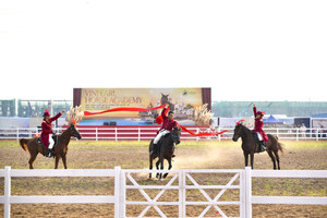 Nơi duy nhất Việt Nam nuôi dưỡng giống ngựa 'đẹp nhất thế giới' có giá triệu đô, cách Hà Nội chỉ hơn 100km