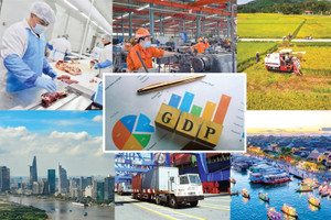 Tăng trưởng 8–10% ở nền kinh tế 500 tỷ USD như Việt Nam là điều không nhiều quốc gia làm được