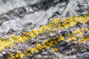 Phong tỏa khẩn cấp hàng loạt mỏ khoáng sản, phát hiện ‘kho vàng’ tiềm năng hơn 100 tấn