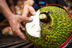 Thêm một loại trái cây Việt được thị trường tỷ dân chấp nhận nhập chính ngạch