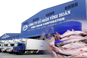 Vĩnh Hoàn (VHC): Áp lực cạnh tranh gia tăng, doanh thu tại Trung Quốc giảm 32%