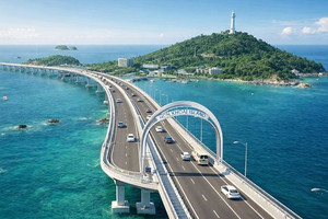 Gần 10ha rừng phòng hộ tại tỉnh lớn thứ 3 vùng ĐBSCL sẽ được chuyển đổi, nhường chỗ cho tuyến đường nối ra đảo